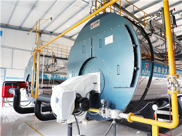 化工廠專(zhuān)用燃?xì)忮仩t